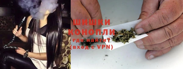 бошки Няндома