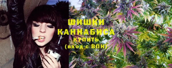 бошки Няндома