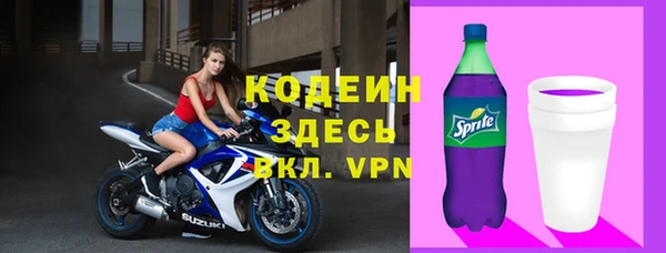 стаф Осинники