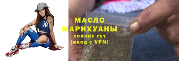 молекула духа Новозыбков