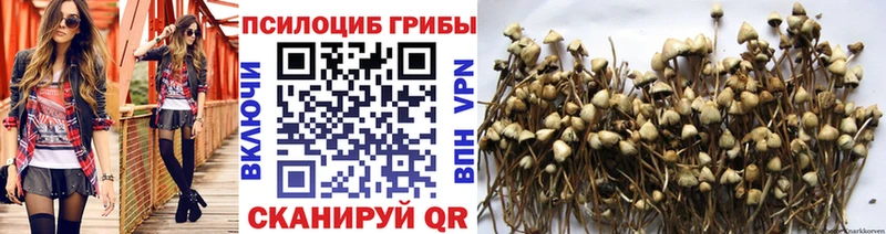 купить закладку  Красный Сулин  Галлюциногенные грибы Cubensis 