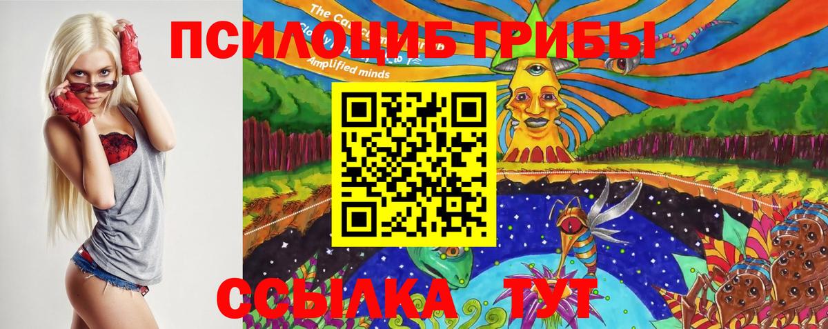 Псилоцибиновые грибы мицелий  закладка  Вход с VPN  Красный Сулин  Псилоцибиновые грибы прущие грибы 